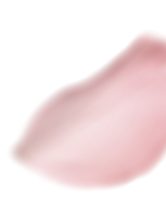 Delicate pink cherry blossom petal