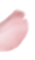Delicate pink cherry blossom petal